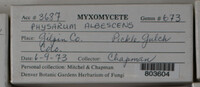 Image Associated With the Occurence